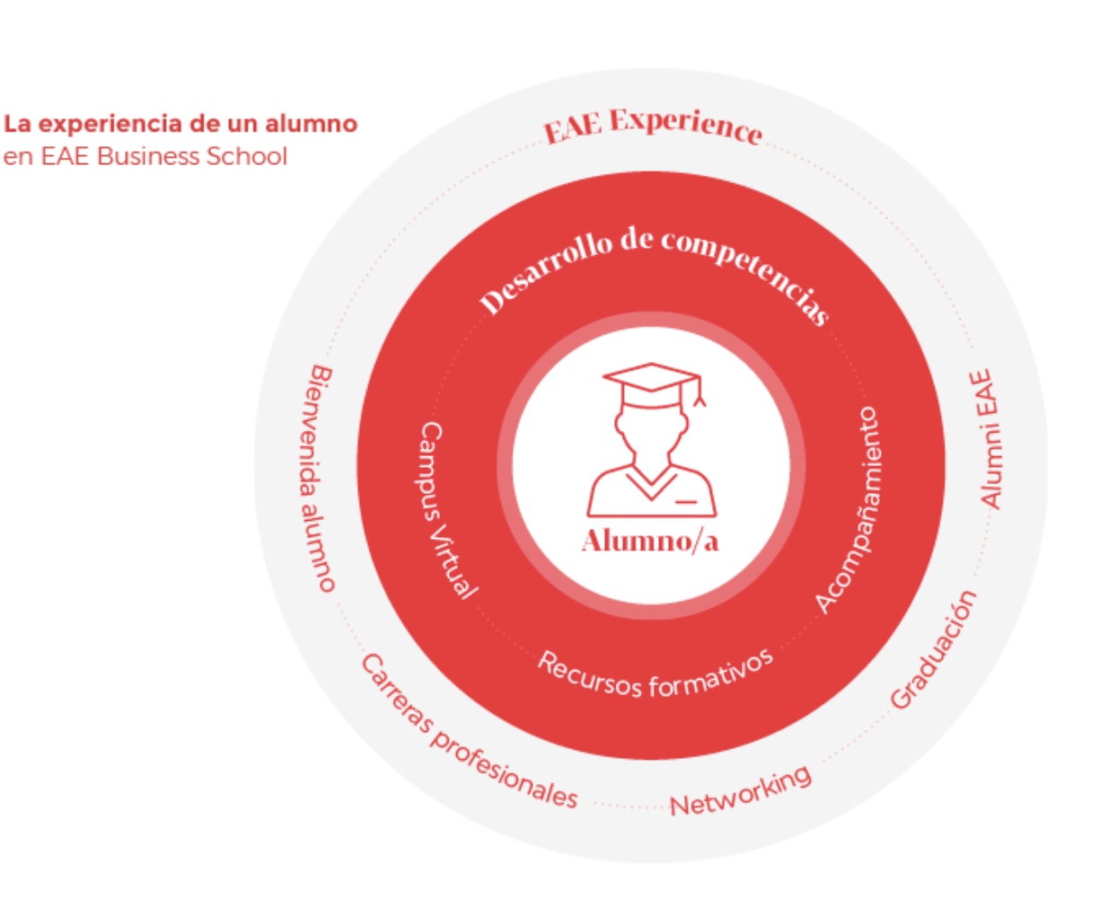 La experiencia de un alumno